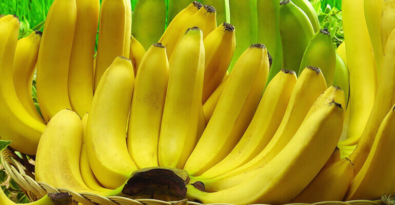 Banana Maturation and Storage Technology