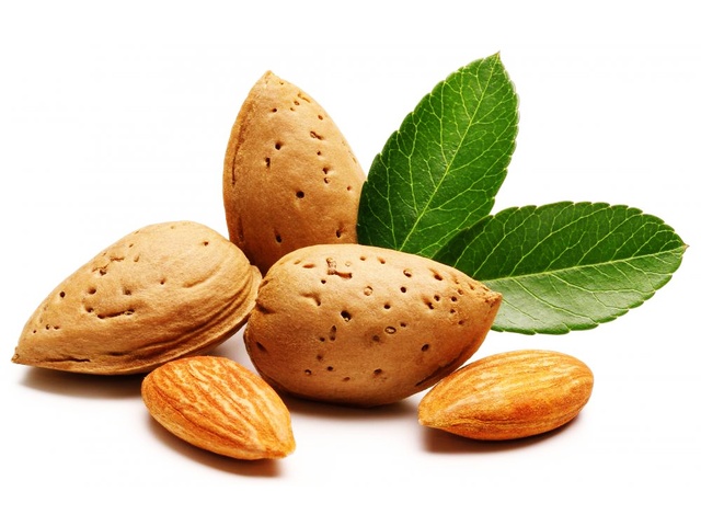Almond - Cultivation, Recycling, Storage