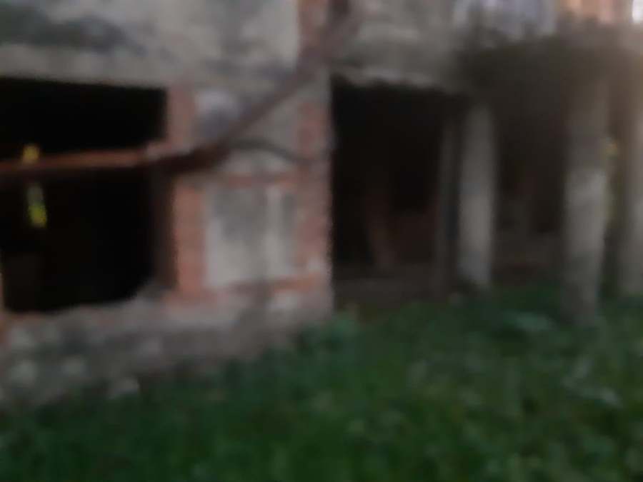 galery