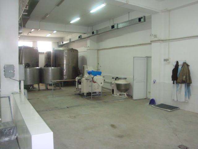 galery