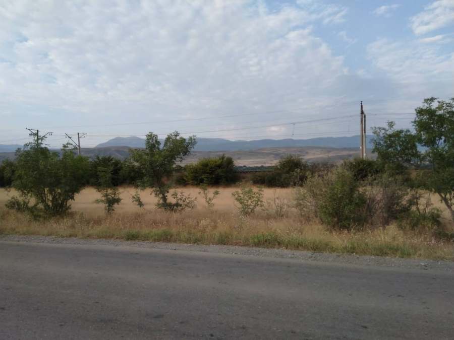 galery