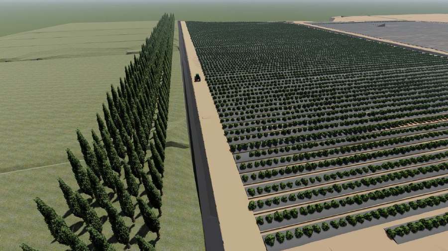galery
