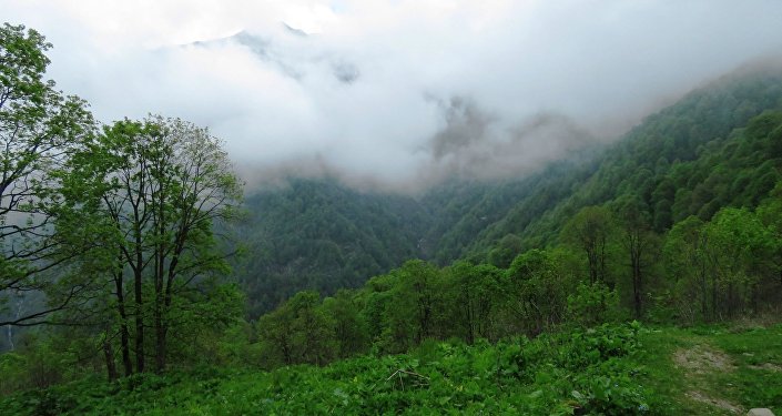 სასტუმრო ლაგოდეხში